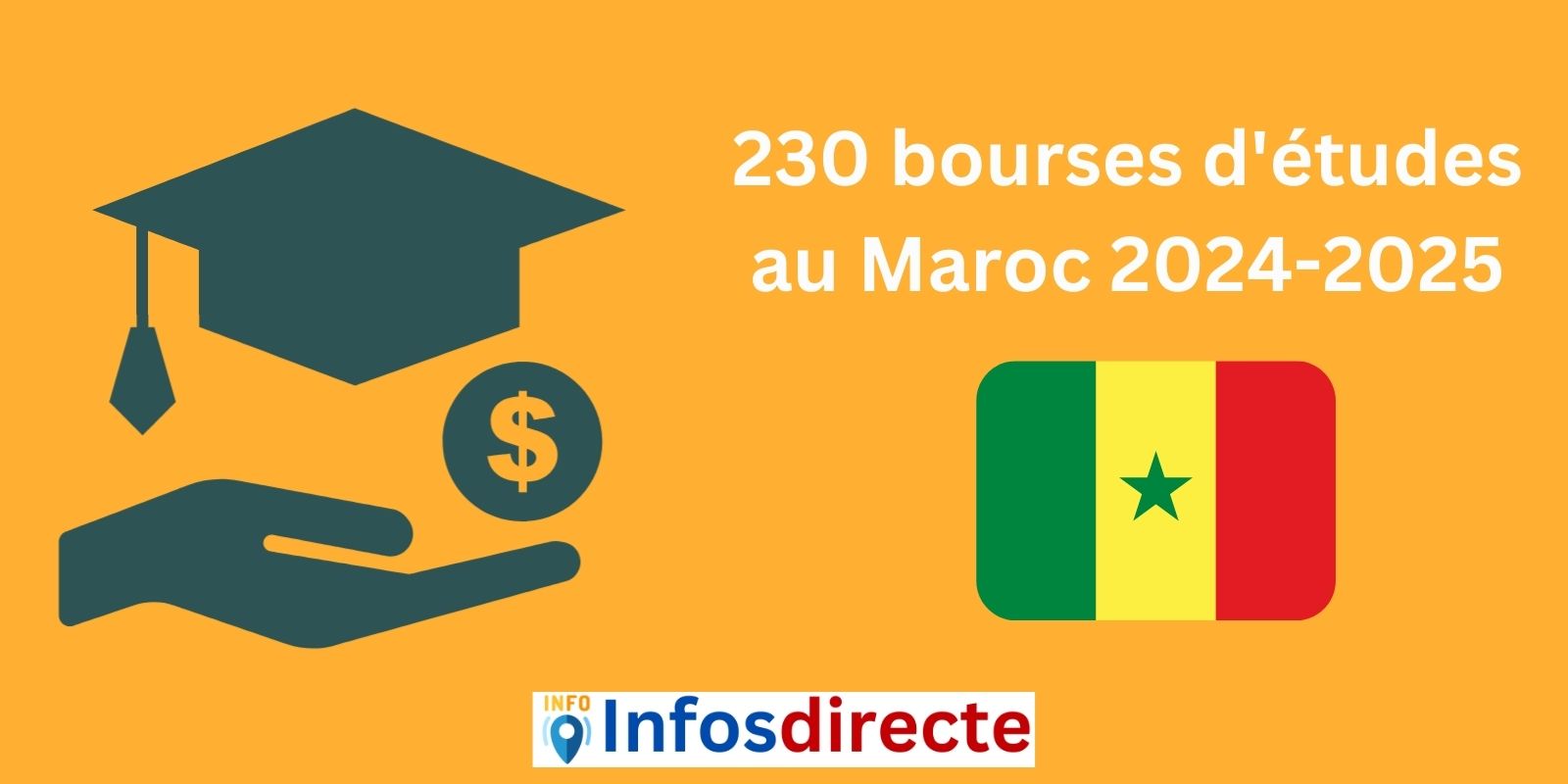230 bourses d'études au Maroc au titre de l'année académique 2024-2025
