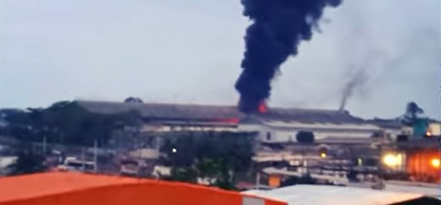 Dabakala / Côte d'Ivoire : Un incendie ravage une usine de noix de cajou, menaçant des centaines d'emplois