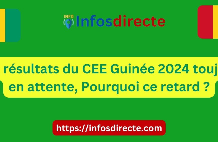 Les résultats du CEE Guinée 2024 toujour en attente, Pourquoi ce retard ?