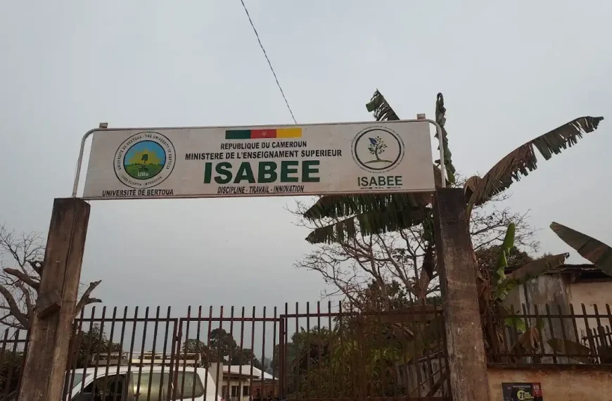 Ouverture concours ISABEE de l'Université d'Ebolowa 2024