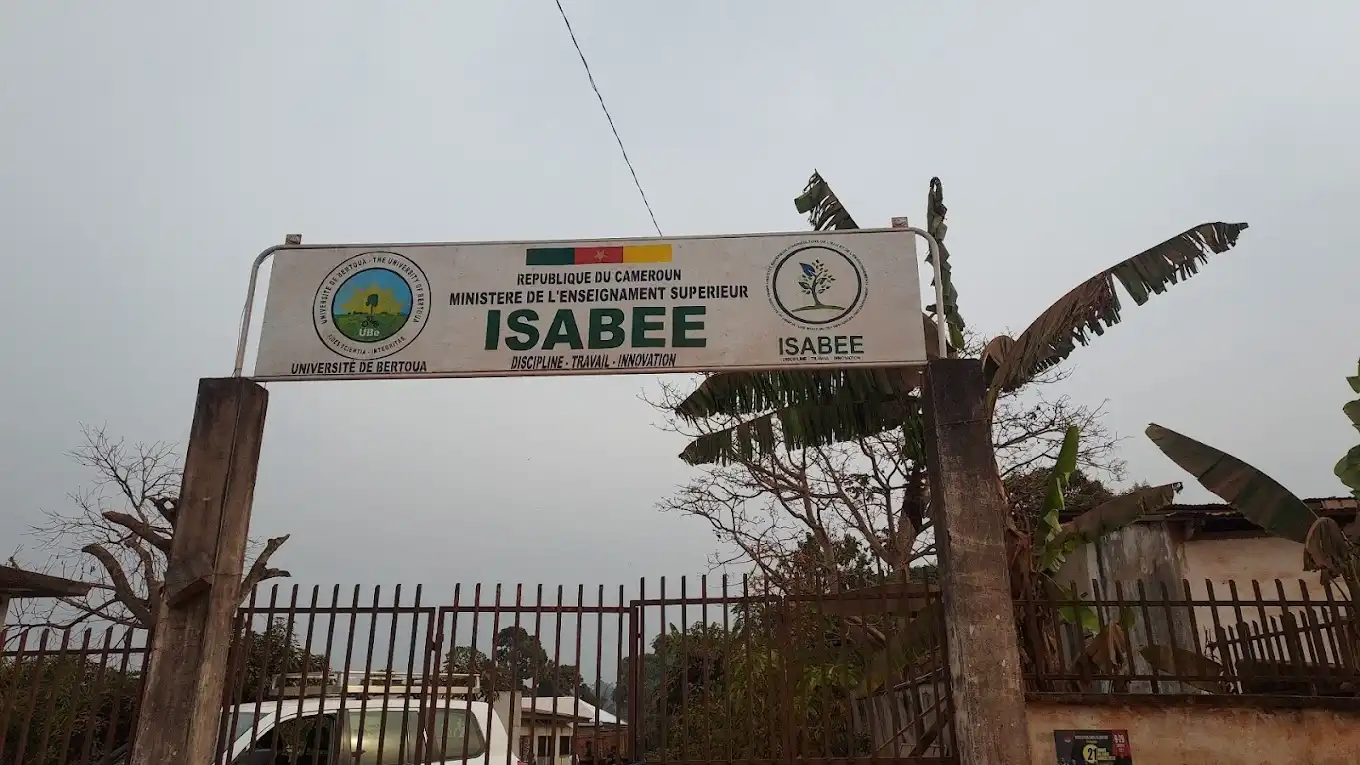 Ouverture concours ISABEE de l'Université d'Ebolowa 2024