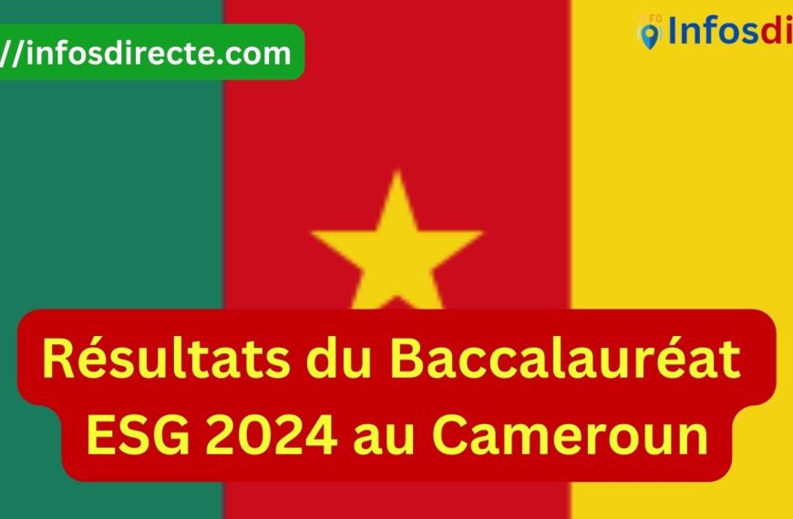 Les résultats du Baccalauréat ESG 2024 au Cameroun attendus le 12 juillet