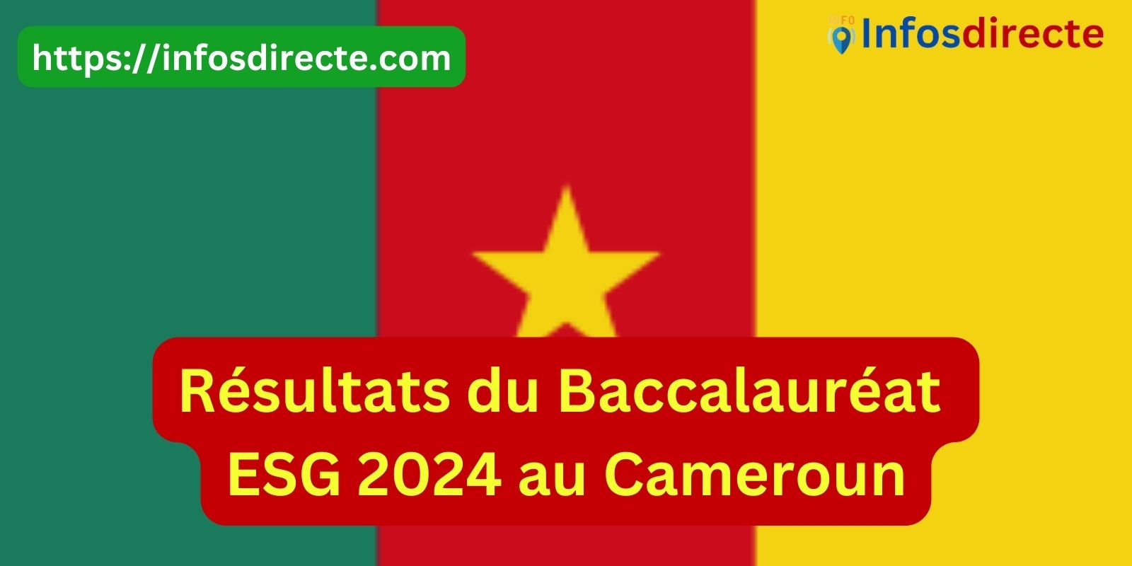 Les résultats du Baccalauréat ESG 2024 au Cameroun attendus le 12 juillet