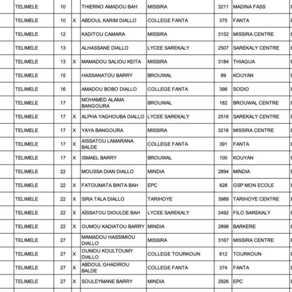 La liste des candidats admis à l'examen du Certificat d'Études Élémentaires (CEE) 2024 en Guinée