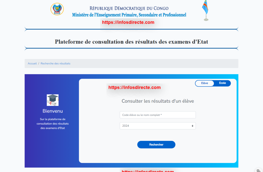 exetat.minepst.gouv.cd - La Plateforme de consultation des résultats des examens d'Etat en RDC