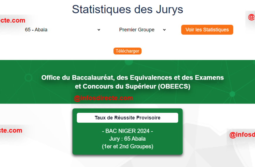 Résultats Provisoires du Baccalauréat Niger 2024 à Abala : 37,74% de taux de réussite pour le jury 65